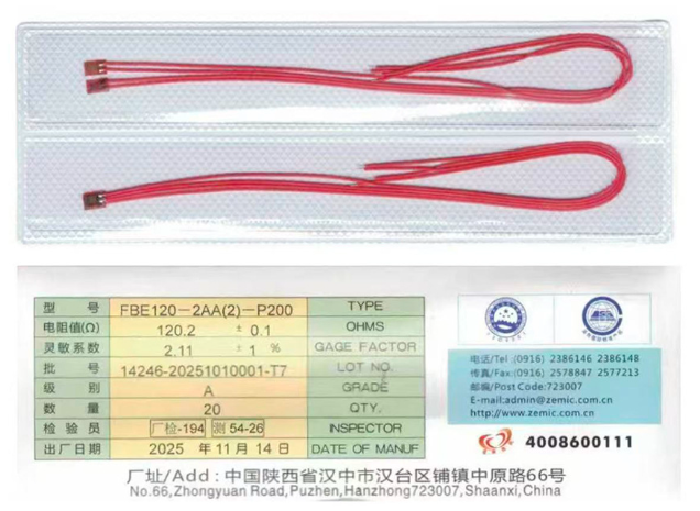 复合材料专用测试应变计-FBE120-2AA(2)-P200 - 图片 1